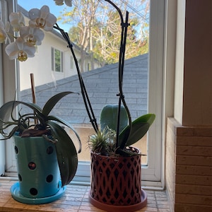 Christina added a photo of their purchase