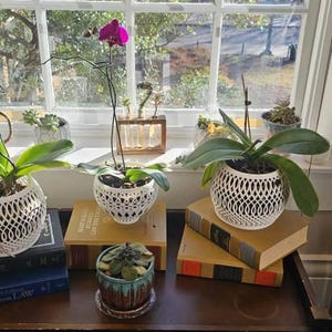 Laura added a photo of their purchase
