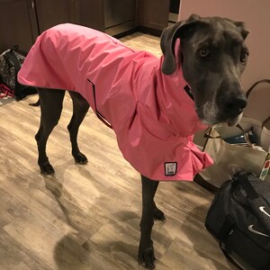 great dane raincoat