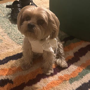 Kali added a photo of their purchase