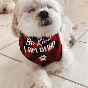 Blind Awareness Hundeleinen-Hülle – Hinweis Für Blinde Hunde, Aus Polyester, 22x6 Cm, Für Mehr Verständnis & Sicherheit Beim Spaziergang