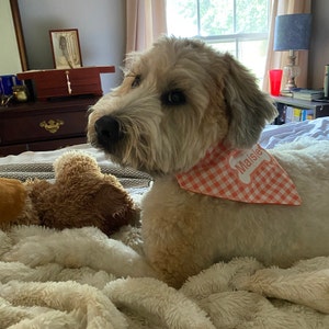 Kirsten added a photo of their purchase