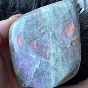 Ali added a photo of their purchase