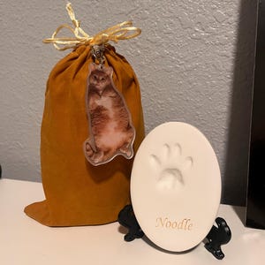 Annabel added a photo of their purchase
