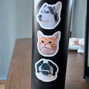 Emily added a photo of their purchase