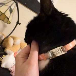 Abigail heeft een foto van de aankoop toegevoegd