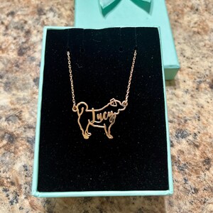 Rachel added a photo of their purchase