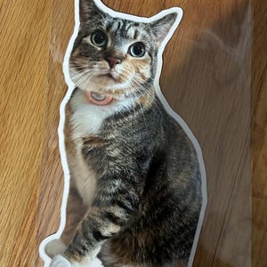 Courtney added a photo of their purchase
