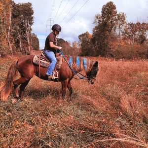 Design Your Own Mane Hair Extensions for Horses perfect for Parties