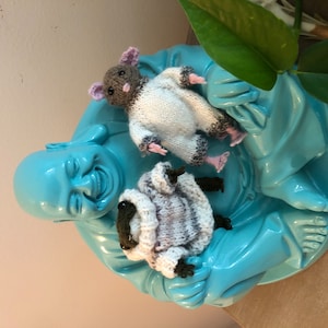 Pam added a photo of their purchase