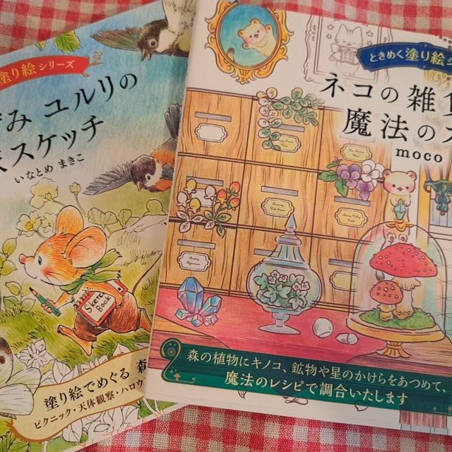 Cat's Magical General Store Coloring Book Japanese Coloring Book