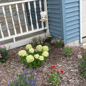 Patti added a photo of their purchase