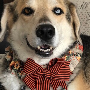 Dog Ruffle Collar Vintage Floral on Teal Dog Scrunchie - Etsy
