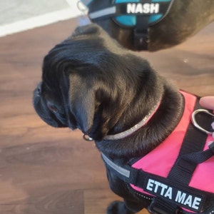 senaxy dog harness
