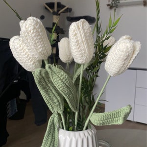 Anastasia added a photo of their purchase