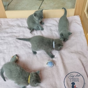 Cornelia added a photo of their purchase
