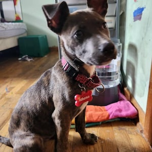 Finn added a photo of their purchase