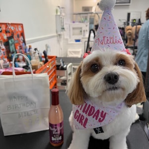 Rachel ha añadido una foto de su compra