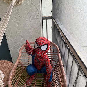 Rodolfo added a photo of their purchase