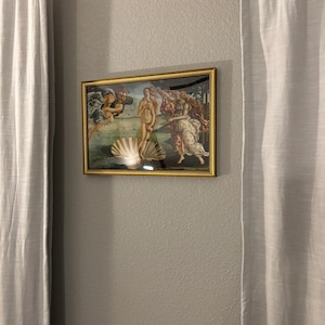 Brianna added a photo of their purchase