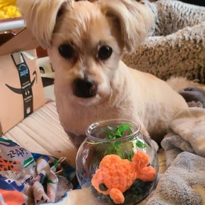Carla added a photo of their purchase