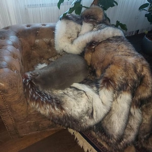 Norbert hat ein Foto des gekauften Artikels hinzugefügt