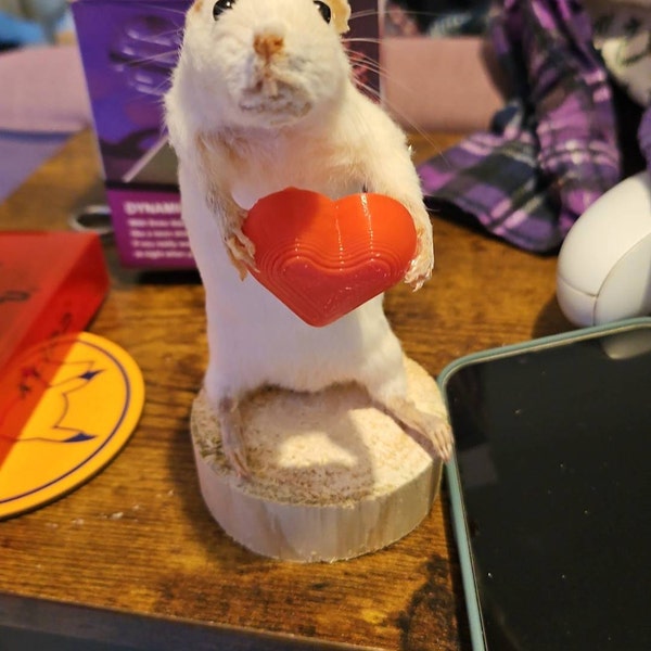 Taxidermy Mouse With Bagpipes Rat Rodent Scottish Scotland musical taxidermy-mouse-with-bagpipes-rat-rodent-scottish-scotland-musical