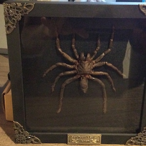 Daja added a photo of their purchase