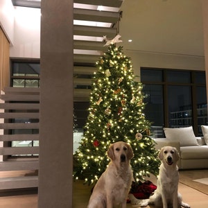 Golden Retriever, Dog Christmas Tree Topper, Holiday Decoration ...