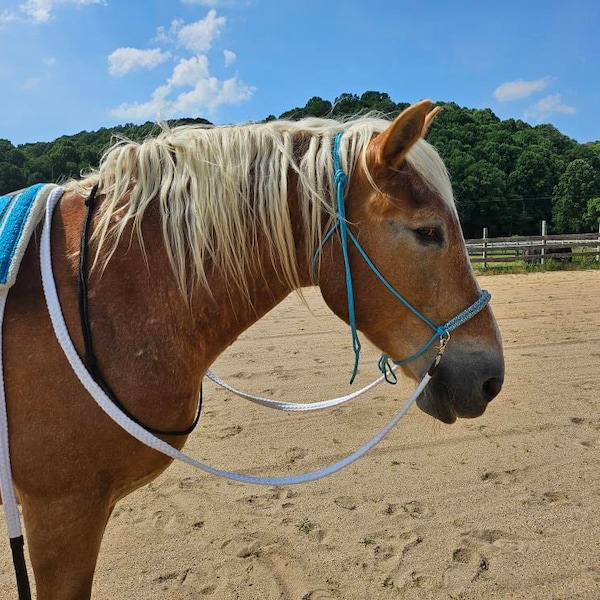 SPLIT REINS With PARACORD, Rope Reins, Double Braided Nylon Yacht Rope ...