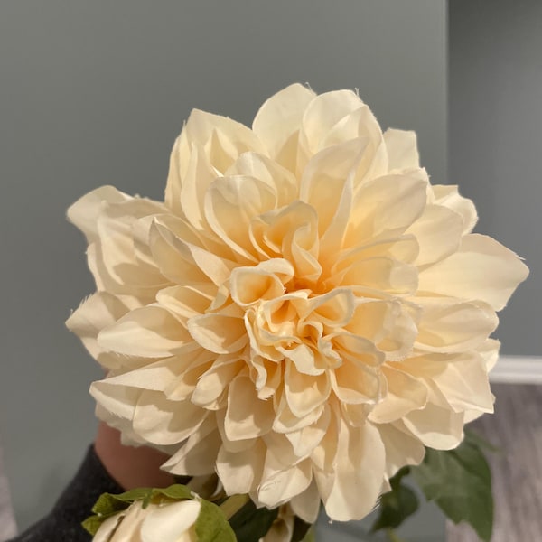 Dust Pink Ivory Faux Dahlia, White Dahlia Flowers, Gradient Dahlia, DIY ...