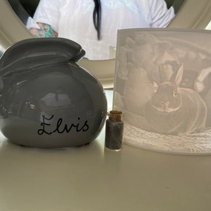 Rabbit Urn Bunny Ashes Casket | Etsy