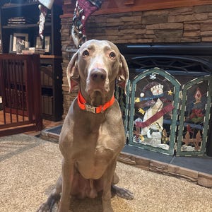 Lynne added a photo of their purchase