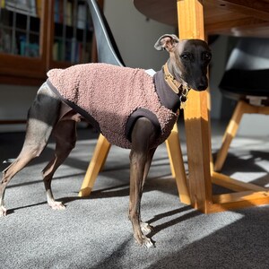Italian Greyhound - Grape Teddy Vest - Etsy
