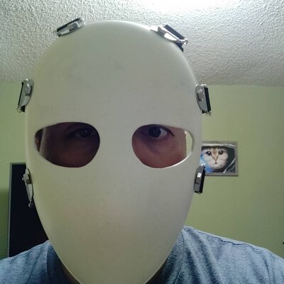 Please Stop Me Custom Mask Manhunt - Etsy