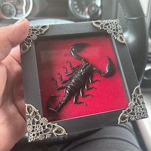 Jacob added a photo of their purchase
