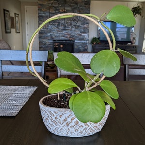 Jennifer added a photo of their purchase