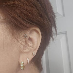 Stephanie added a photo of their purchase