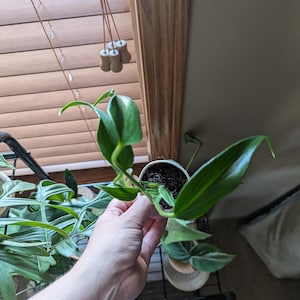 Gretchen added a photo of their purchase