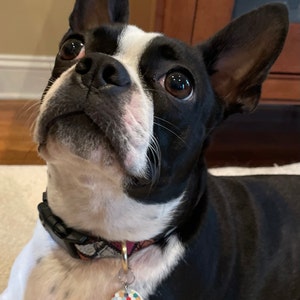 Etsy buyer added a photo of their purchase