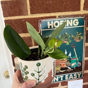 Melissa added a photo of their purchase