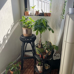 Jenny added a photo of their purchase