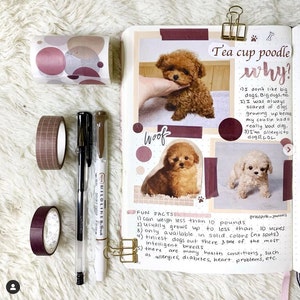 Rachelle added a photo of their purchase