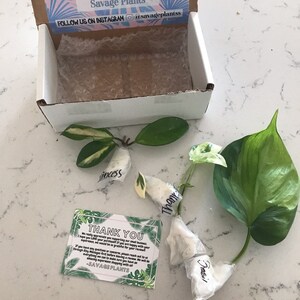 Candice Vinson added a photo of their purchase