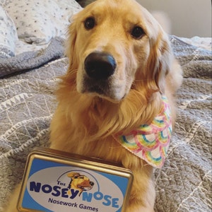 The Nosey Nose: Nosework Scentwork Training for Dogs Puzzle Brain Games,  Anise Scent (Zipper Pouch)