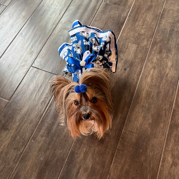 Christmas Sparkle Dog Dress with Fur main image 1