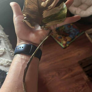 carl added a photo of their purchase