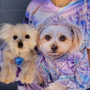 Lili added a photo of their purchase