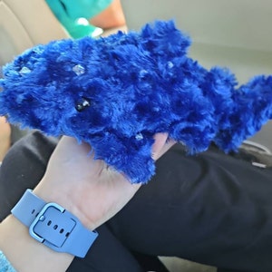 Sadie added a photo of their purchase