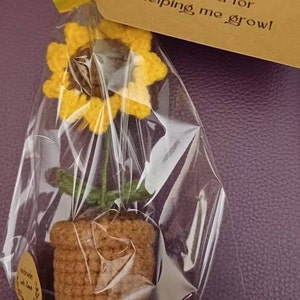 Tara added a photo of their purchase